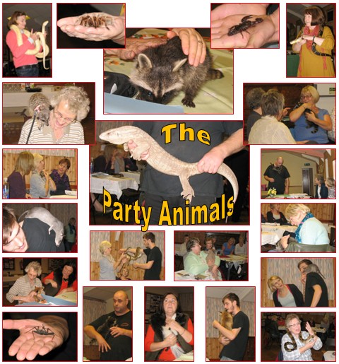 The Party Animals