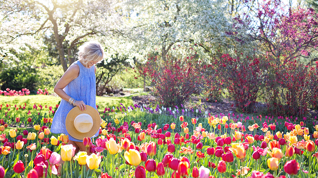 Flowers Gardens