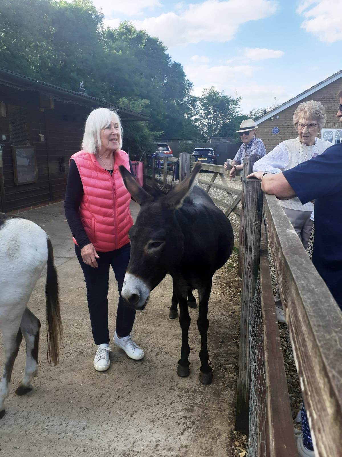 24.08 Margaret with Donkeys