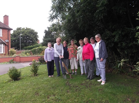 tree planting