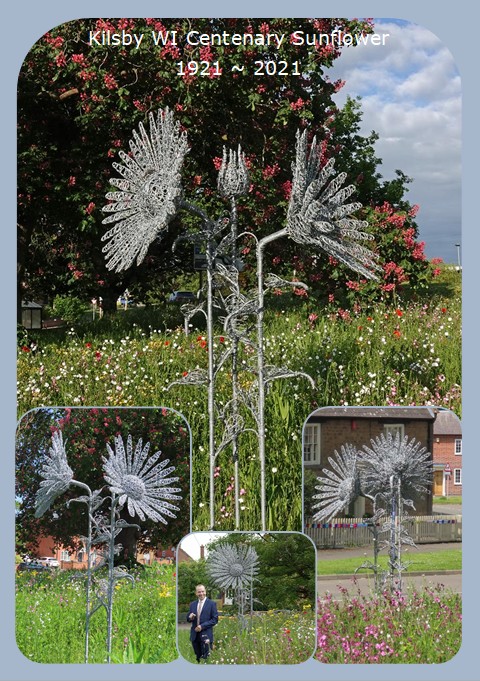 Centenary Sunflower