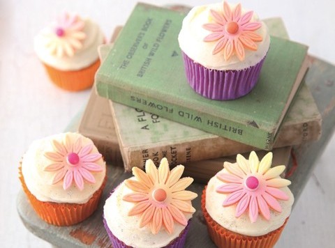 National Federation of Womens Institutes  Flower Power Cup Cakes