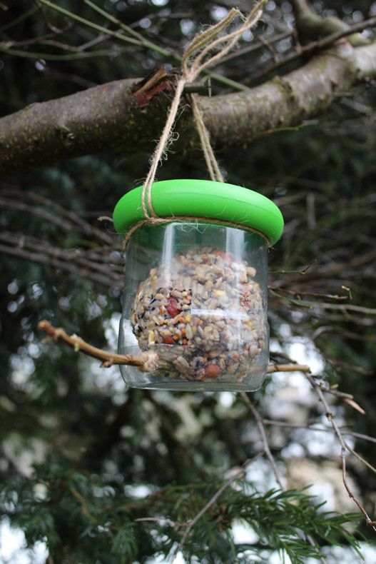 A plastic bird feeder with a green lid hanging from a tree